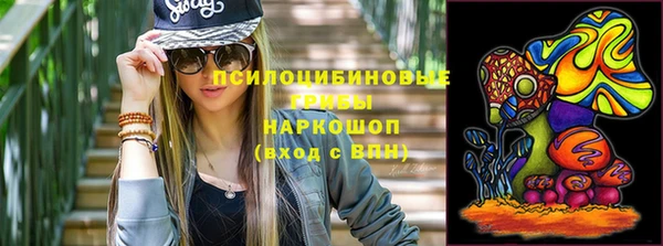 круглые Абаза