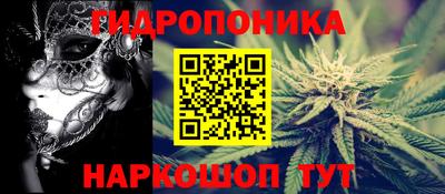 ECSTASY Новодвинск