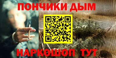 хмурый Новозыбков