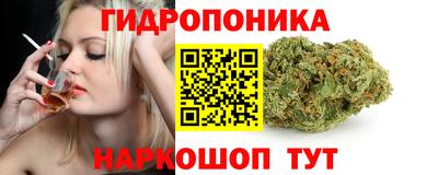 хмурый Новозыбков