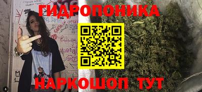 ECSTASY Новодвинск