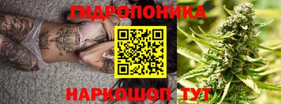 ECSTASY Новодвинск