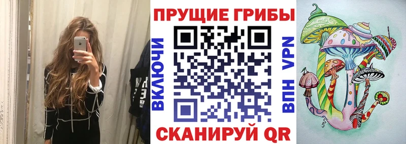 хочу   MEGA зеркало  Псилоцибиновые грибы MAGIC MUSHROOMS  Торжок 