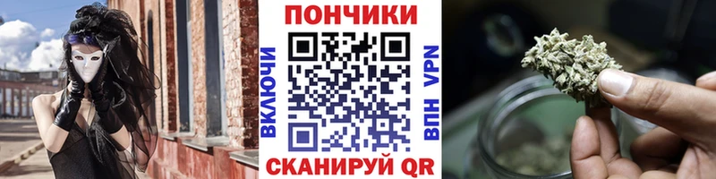 купить наркотик  Торжок  Конопля сатива 